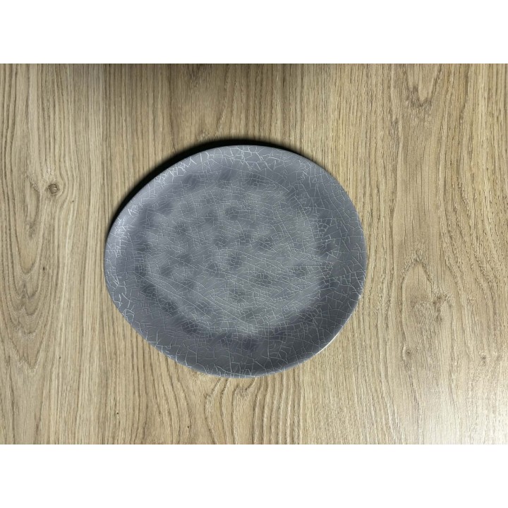 Assiettes grises en mélanine ( plastique dur)