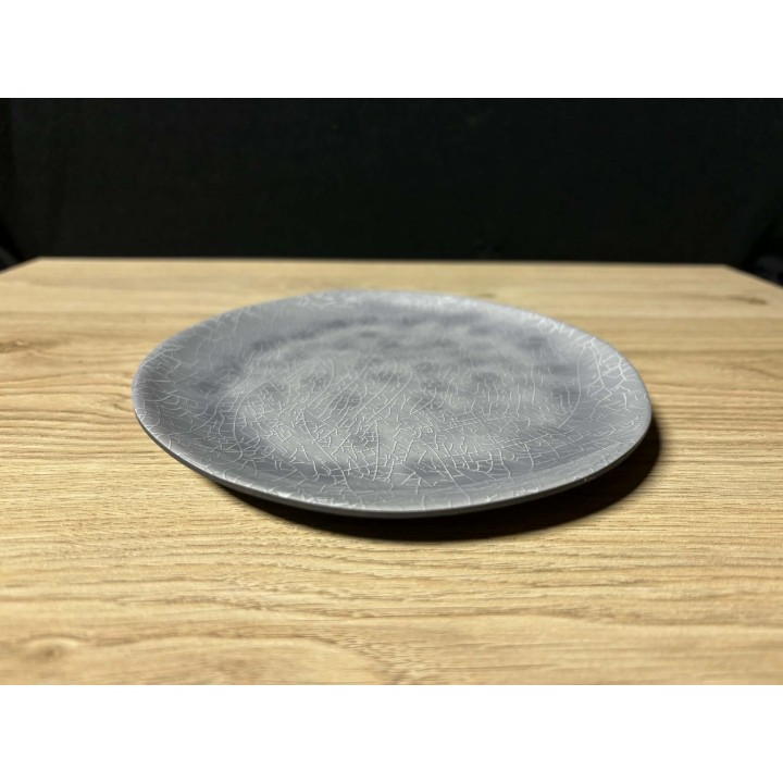 Assiettes grises en mélanine ( plastique dur)