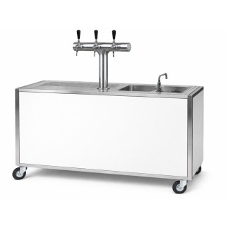 Pompe à bière 3 têtes + évier